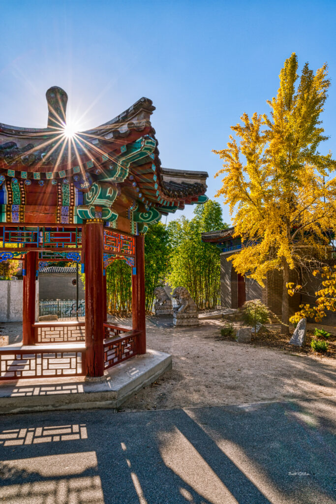 Bendigo Chinese Gardens